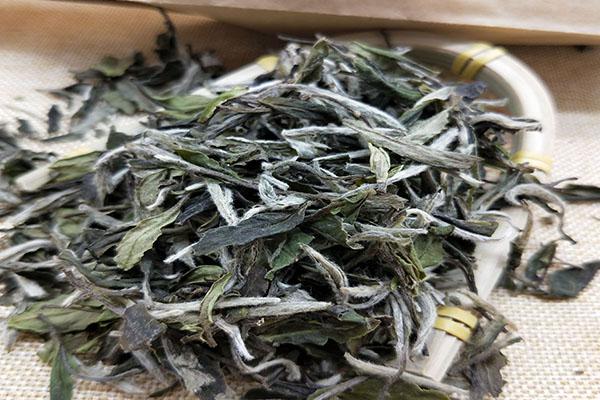 具有收藏价值的茶叶种类是哪些